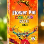 FLOWER POTTS COLOUR KOTTI XL(JOKER)-10PCS